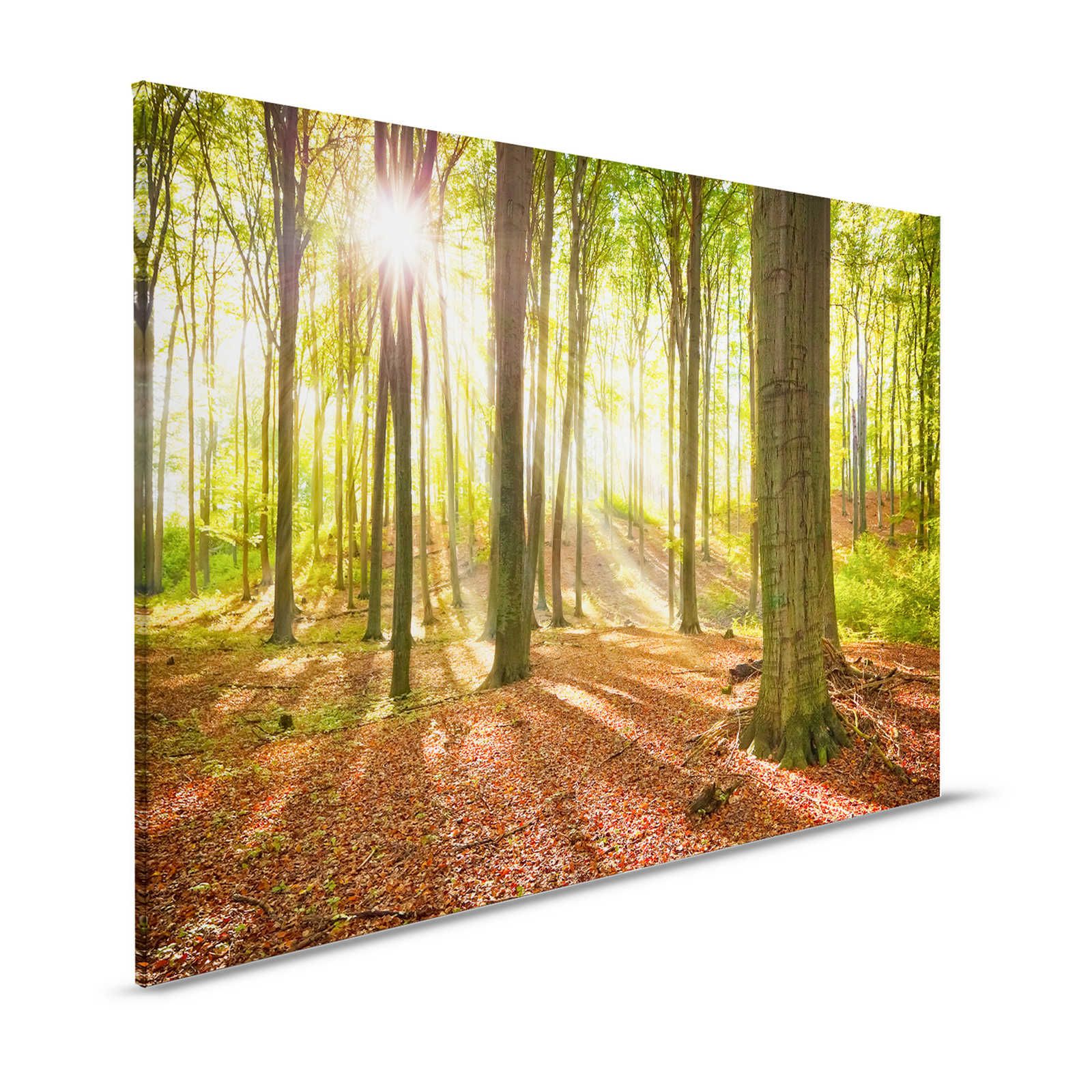 Leinwandbild Natur Laubwald mit Lichtstrahlen – 1,20 m x 0,80 m
