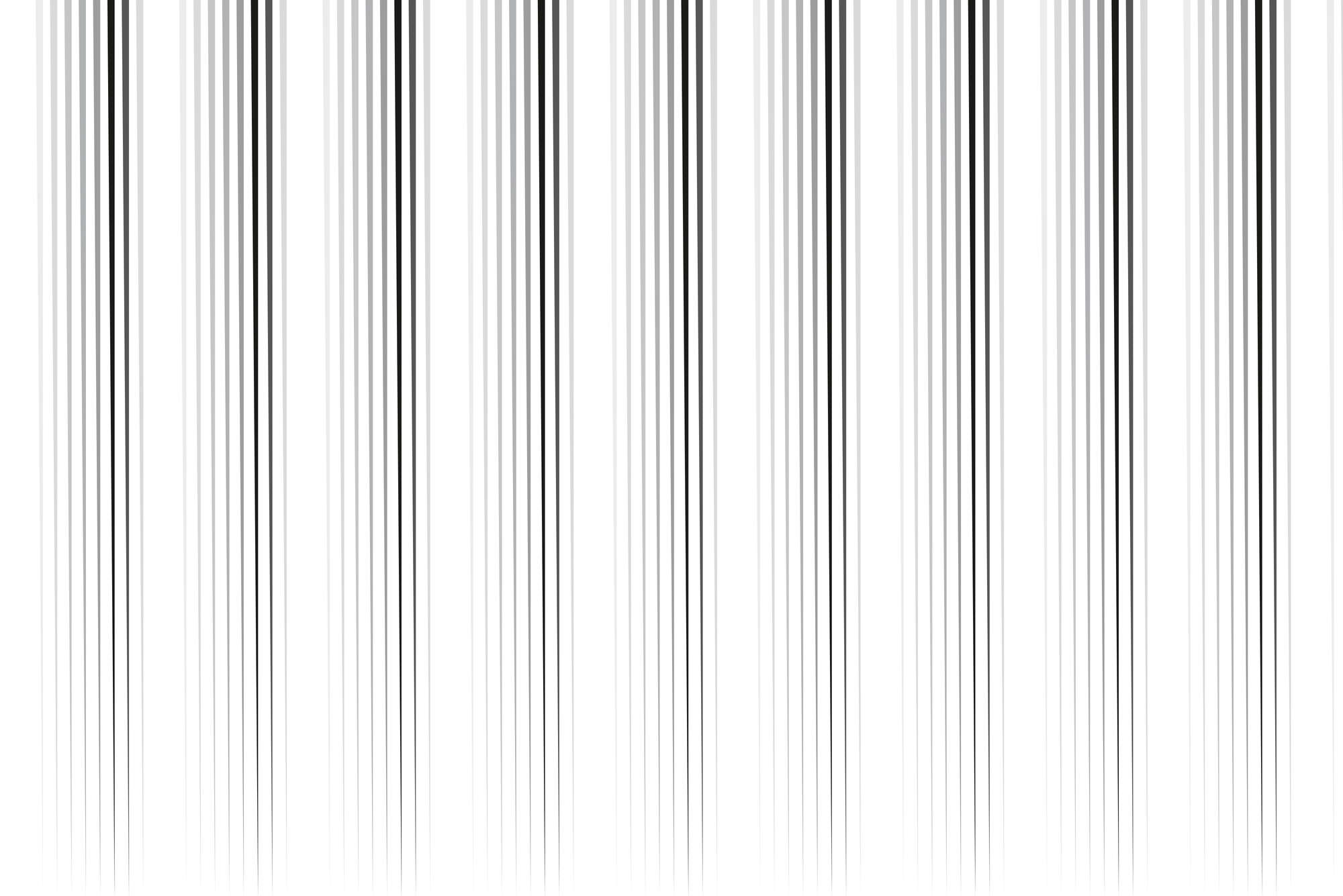            Design Fototapete dünner werdende Streifen weiß grau auf Matt Glattvlies
        