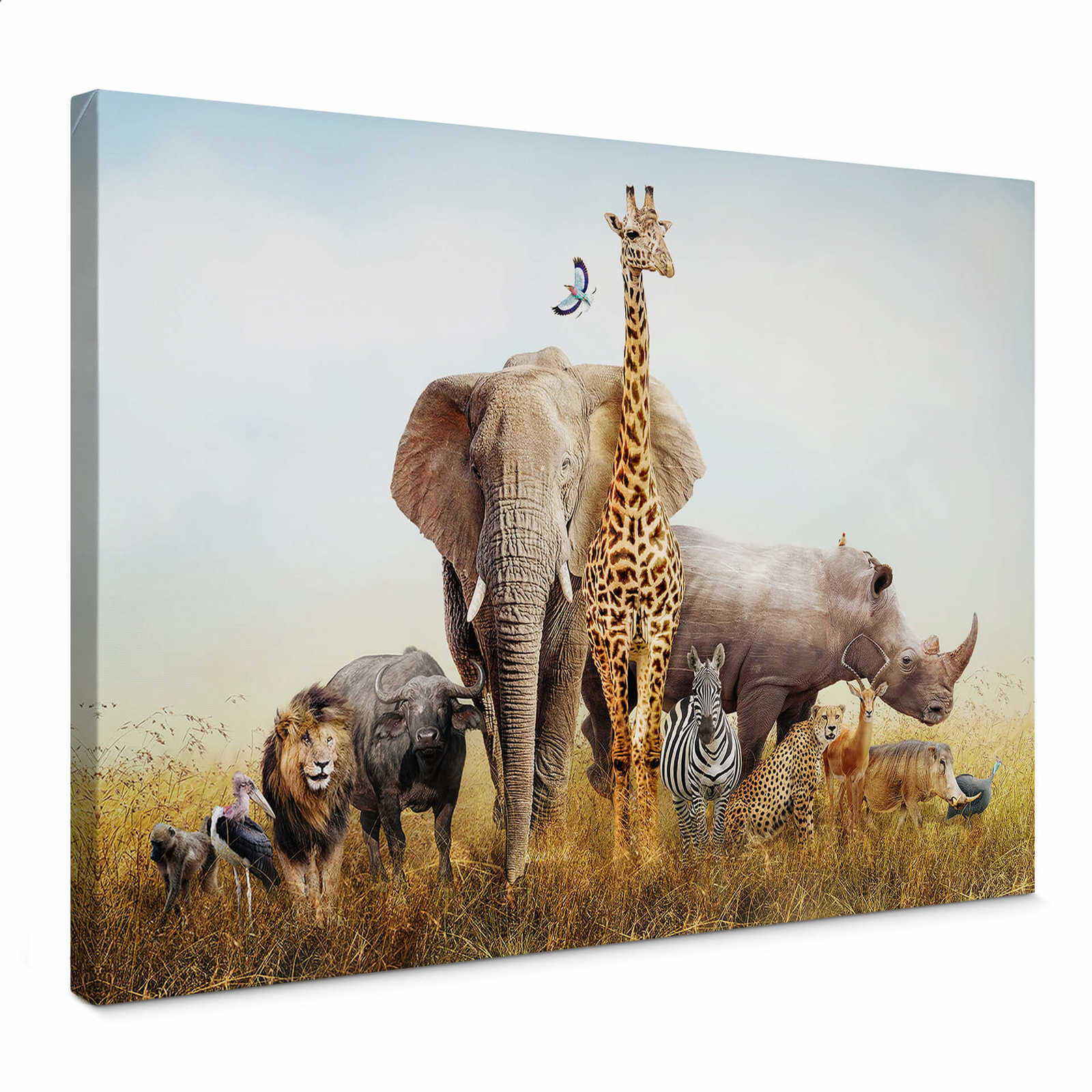 Leinwandbild Afrikanische Tiere in der Natur – 0,70 m x 0,50 m
