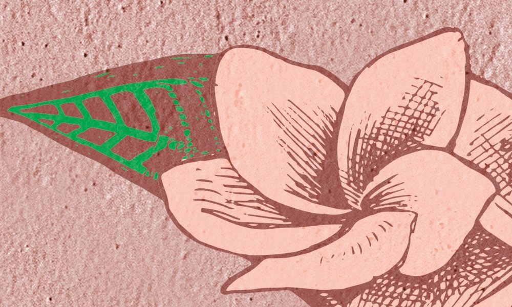             Fototapete Skizze Flamingo und Blätter – Rosa, Grün
        