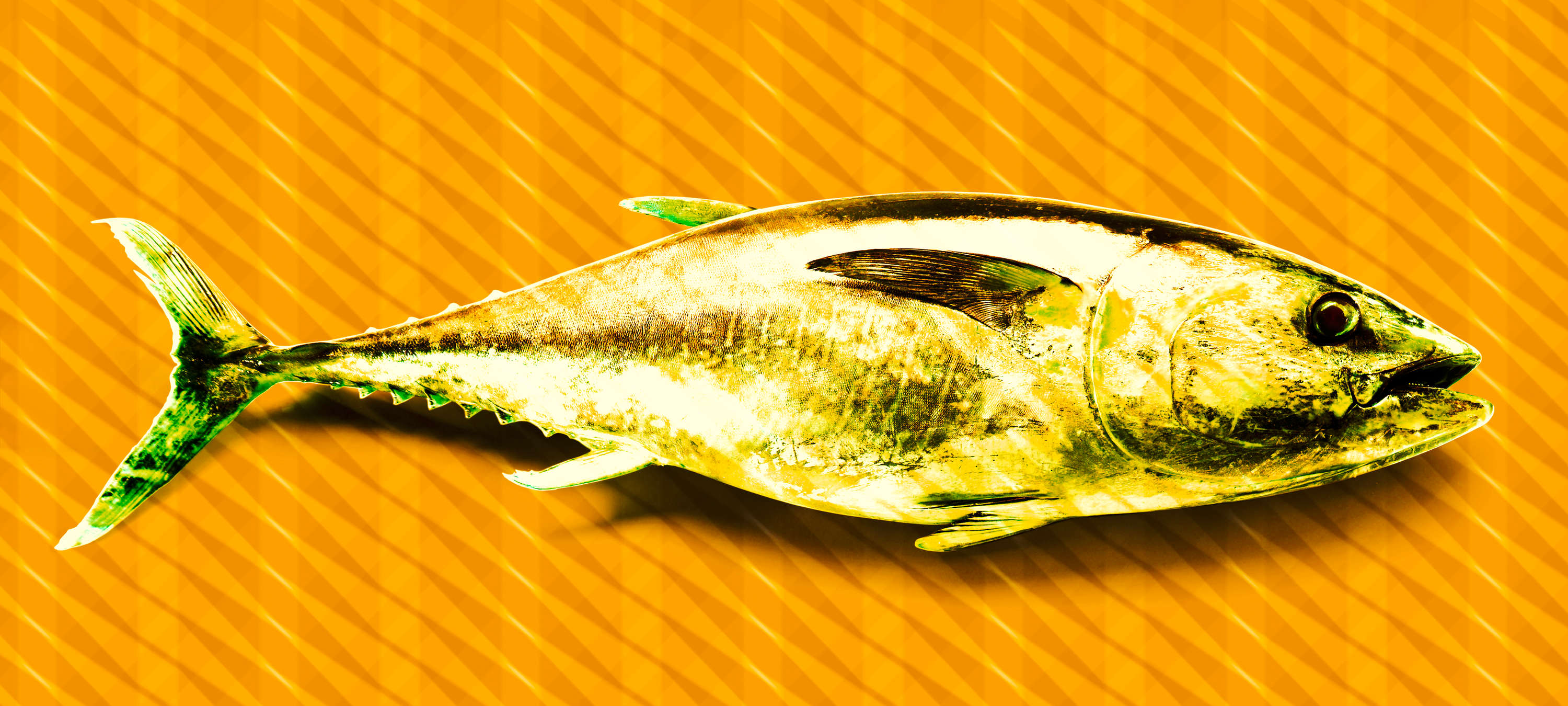             Fototapete Fisch, Pop Art Tapete mit Thunfisch – Orange, Grün, Gelb
        