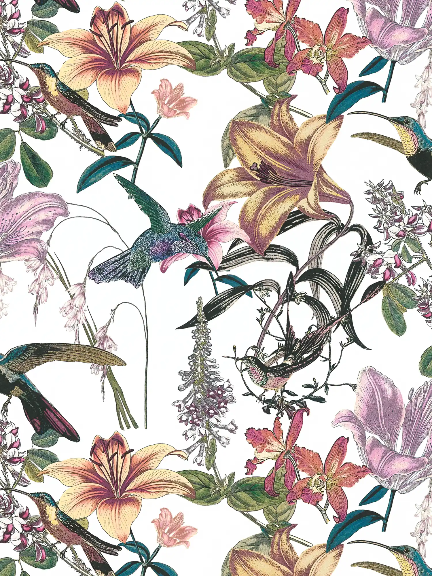 Bunte Blumentapete mit Kolibri Design – Bunt, Grün, Gelb
