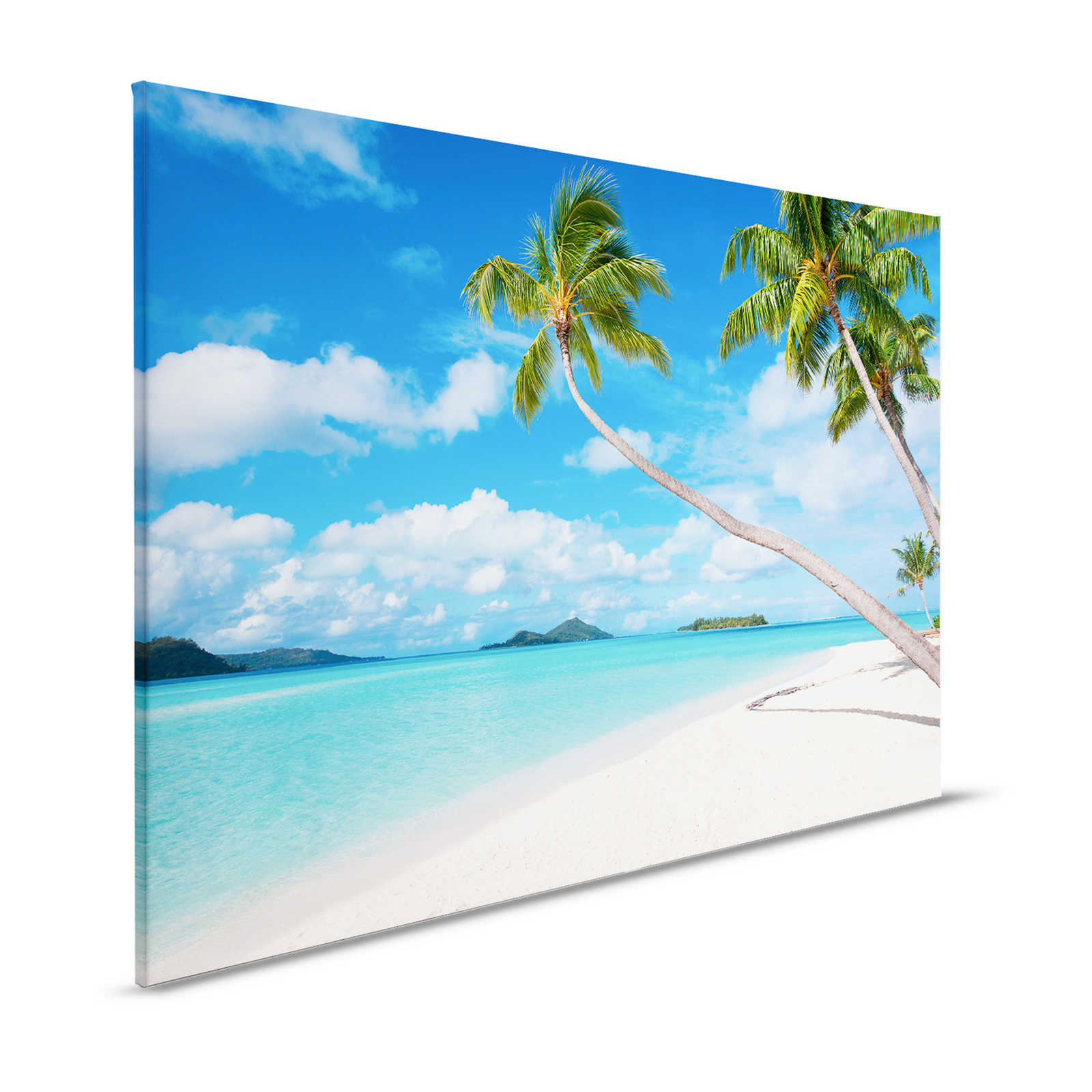 Strand mit Palme Leinwandbild und klarem Wasser – 1,20 m x 0,80 m
