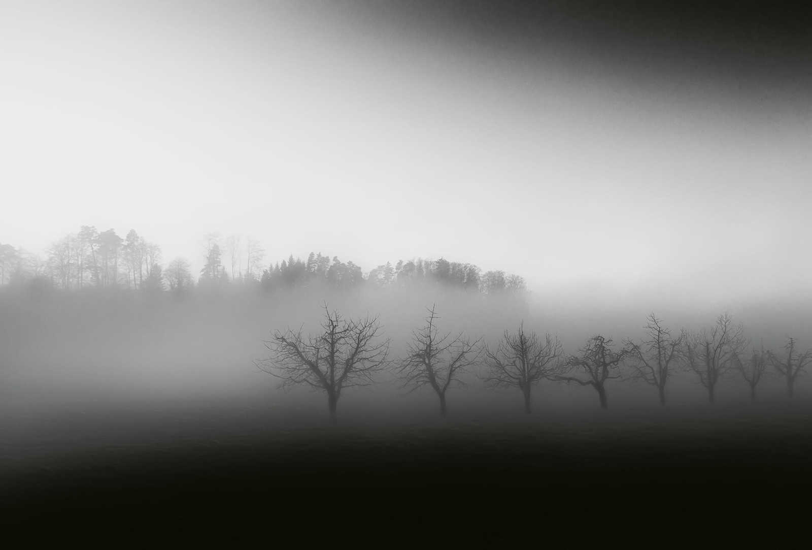 Fototapete Landschaft mit Nebel – Schwarz, Weiß, Grau
