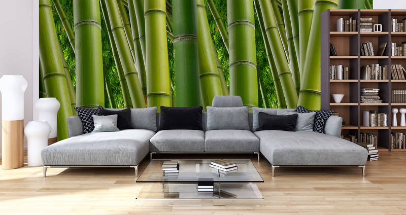             Natur Fototapete Bambus in Grün – Perlmutt Glattvlies
        