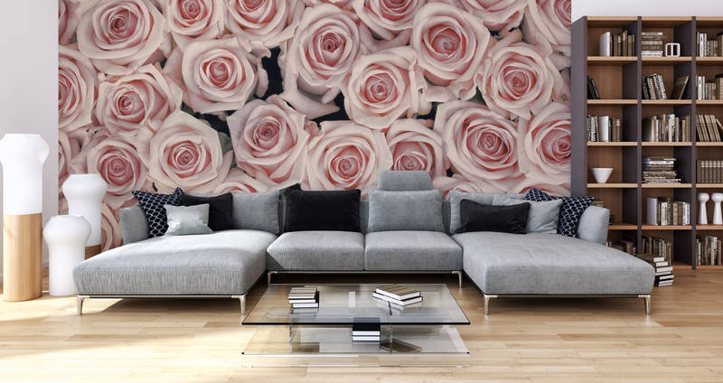             Pflanzen Fototapete rosa und weiße Rosen auf Matt Glattvlies
        