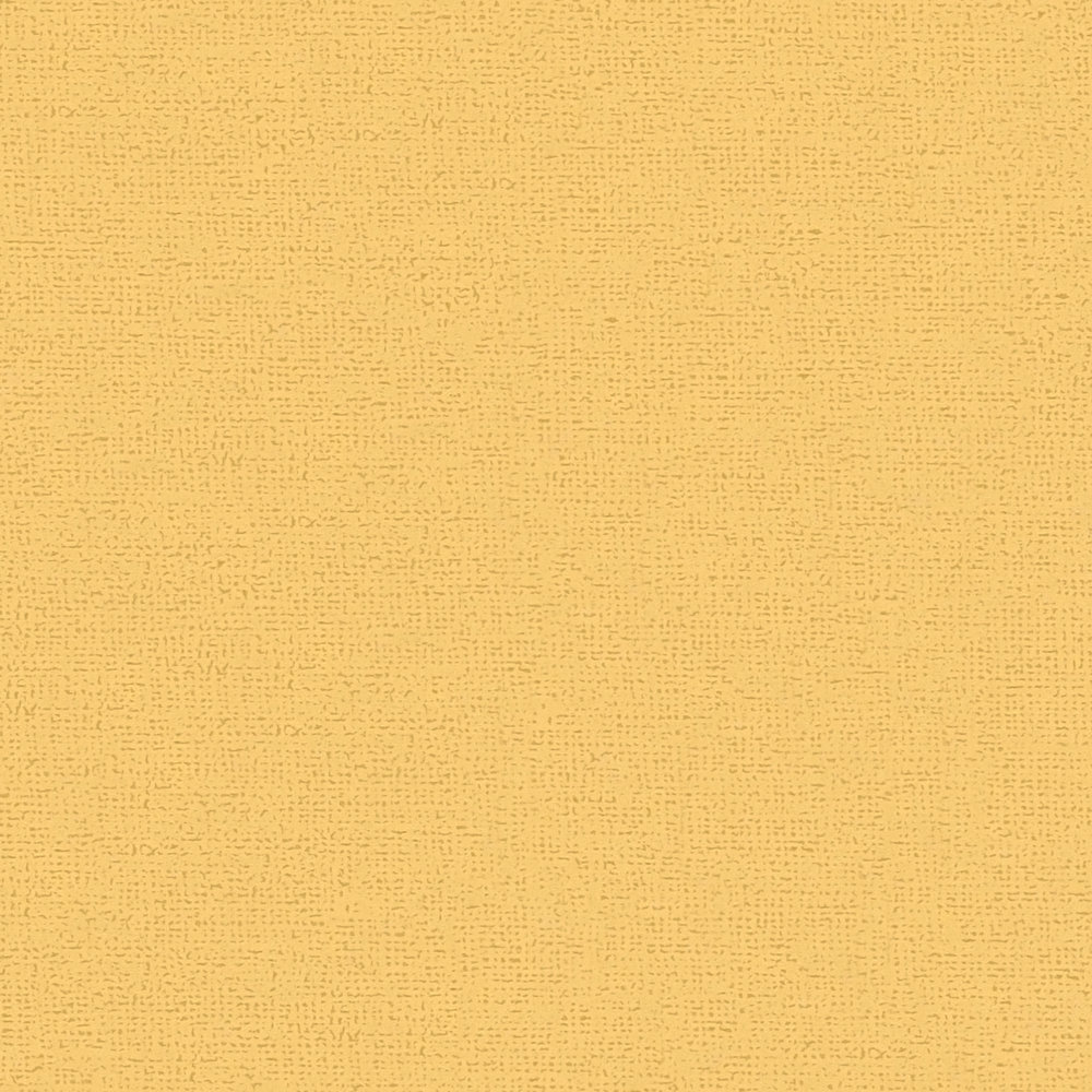             Gelbe Tapete von MICHALSKY einfarbig & matt
        