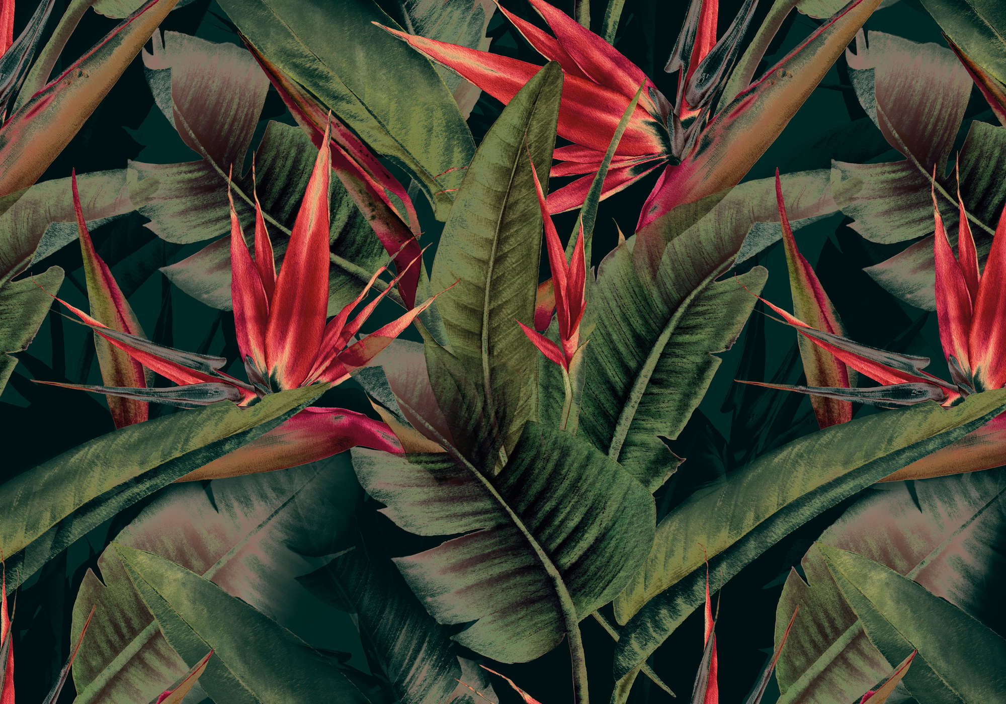             Dschungel Fototapete grün mit roten Paradiesvogelblumen
        