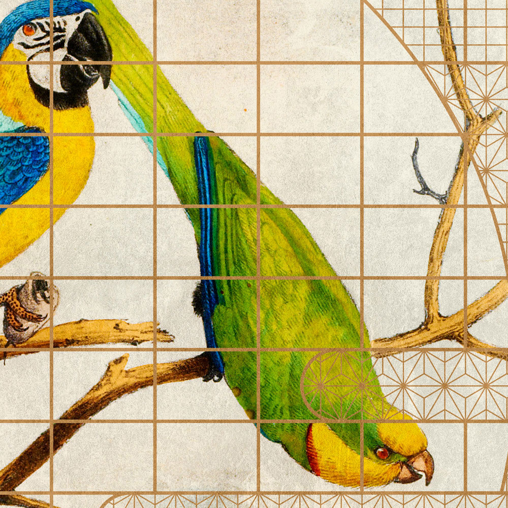             Voliere 3 – Fototapete Papagei & goldenes Muster im Vintage Stil
        