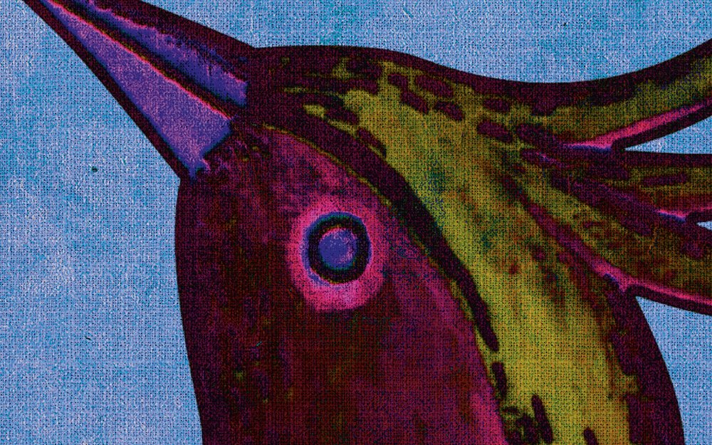             Bird Of Paradis 1 - Digitaldrucktapete in naturleinen Struktur mit Paradiesvogel – Blau, Violett | Struktur Vlies
        