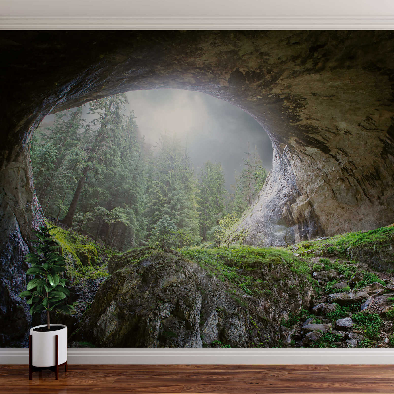             Natur Fototapete Höhle im Wald – Grün, Grau, Braun
        