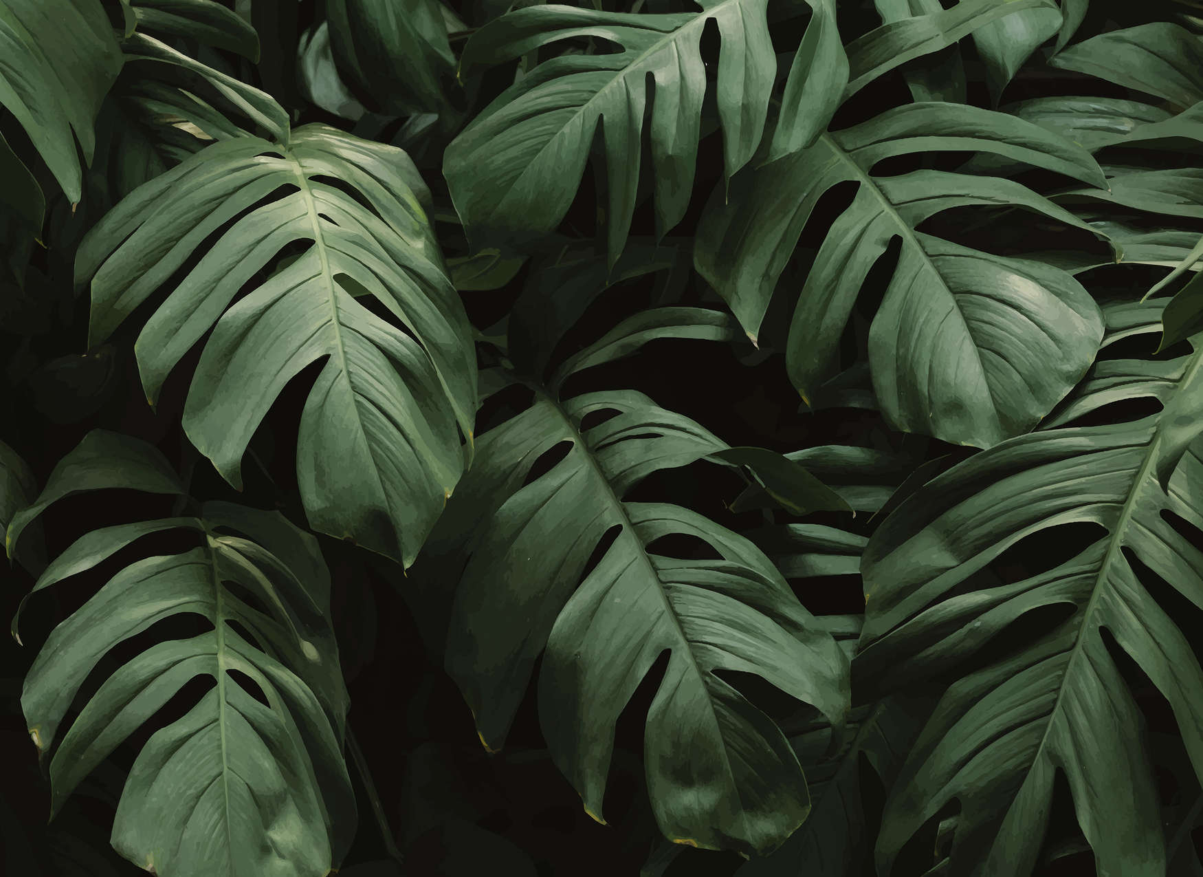             Fototapete tropische Dschungelblätter Close-Up – Grün
        