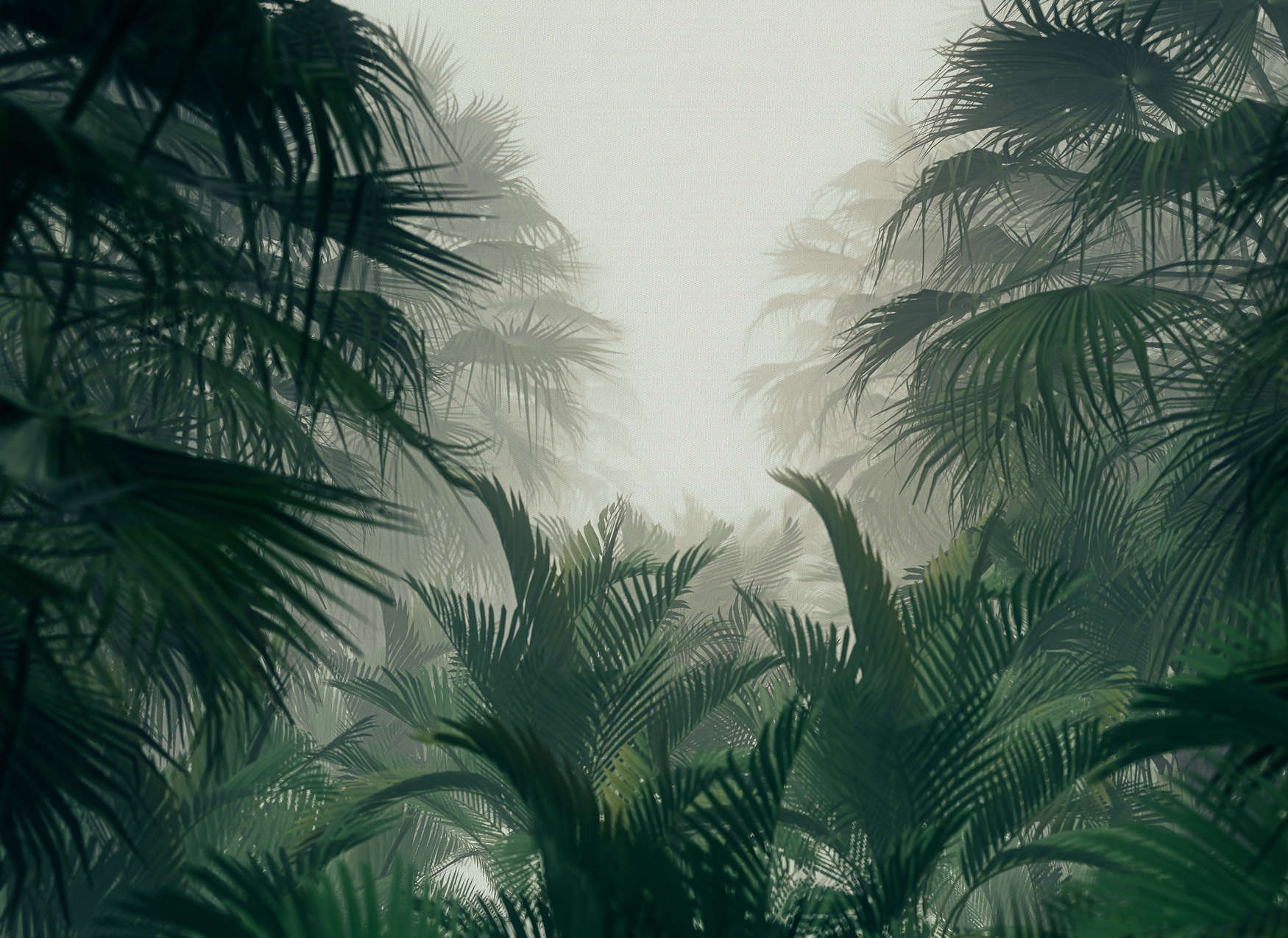             Fototapete mit Dschungelblick in der Regenzeit – Grün, Grau
        