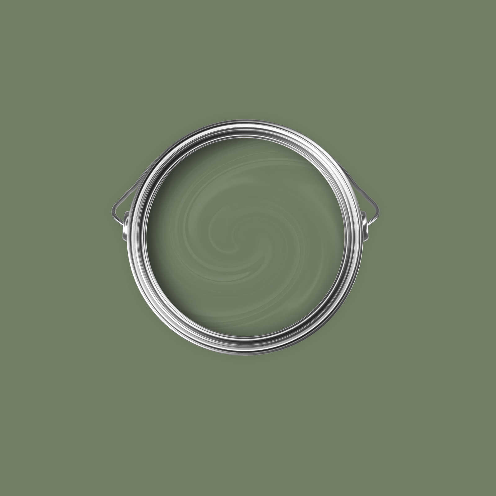             Premium Wandfarbe entspannendes Olivgrün »Gorgeous Green« NW504 – 2,5 Liter
        
