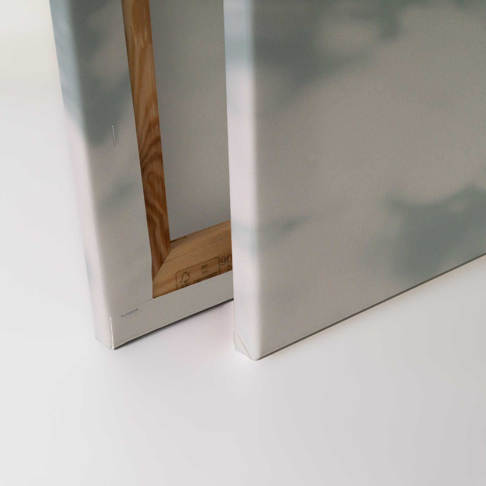             Light Room 2 - Leinwandbild Natur Schatten in Blaugrün & Weiß – 0,90 m x 0,60 m
        