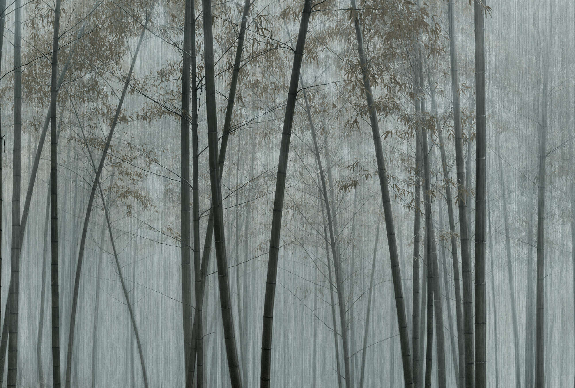             In the Bamboo 1 – Bambus Fototapete Bambus-Wald im Nebel
        