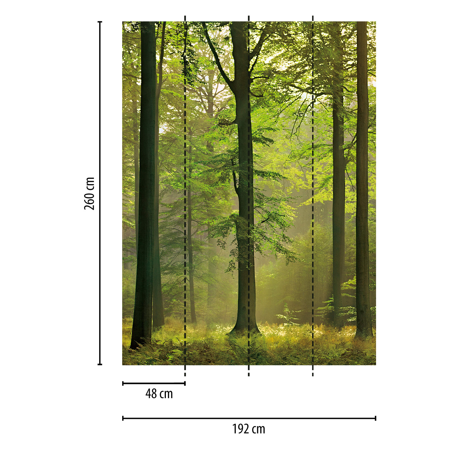             Fototapete grünes Wald-Motiv im Hochformat
        
