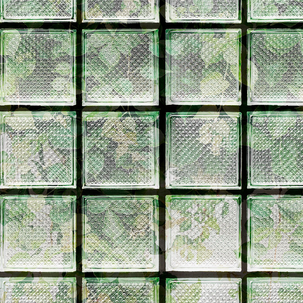             Green House 2 – Gewächshaus Fototapete Blätter & Glasbausteine
        