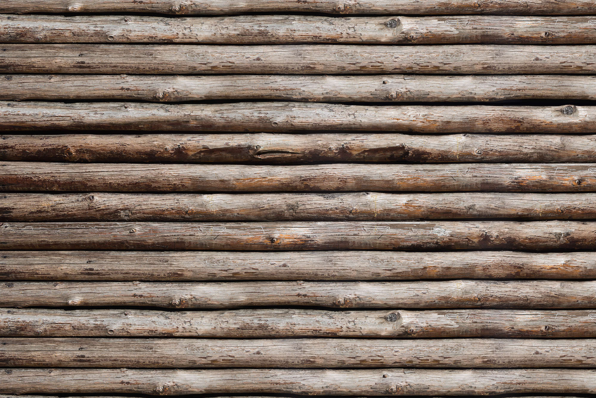             Holz Fototapete Blockhütten Wand auf Perlmutt Glattvlies
        