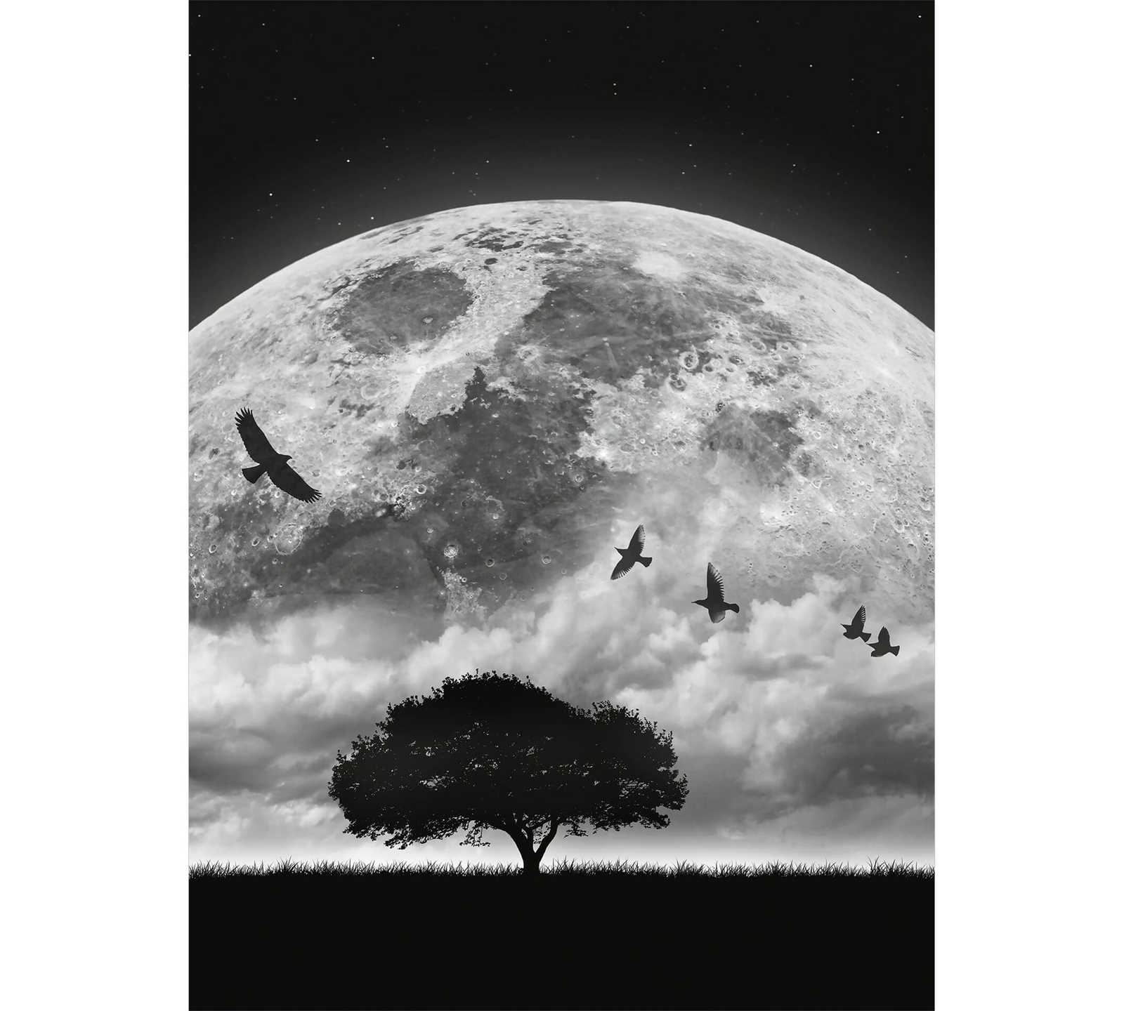         Schmale Fototapete abstraktes Weltall – Schwarz, Weiß
    