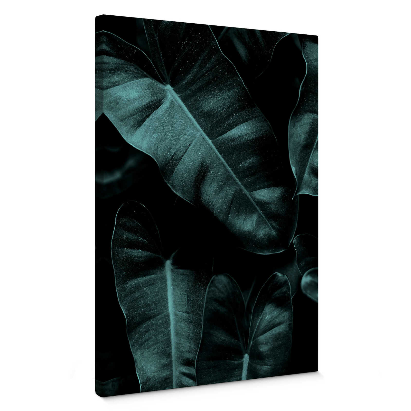        Kubstika Leinwandbild Blätter im Dschungeldesign – 0,50 m x 0,70 m
    