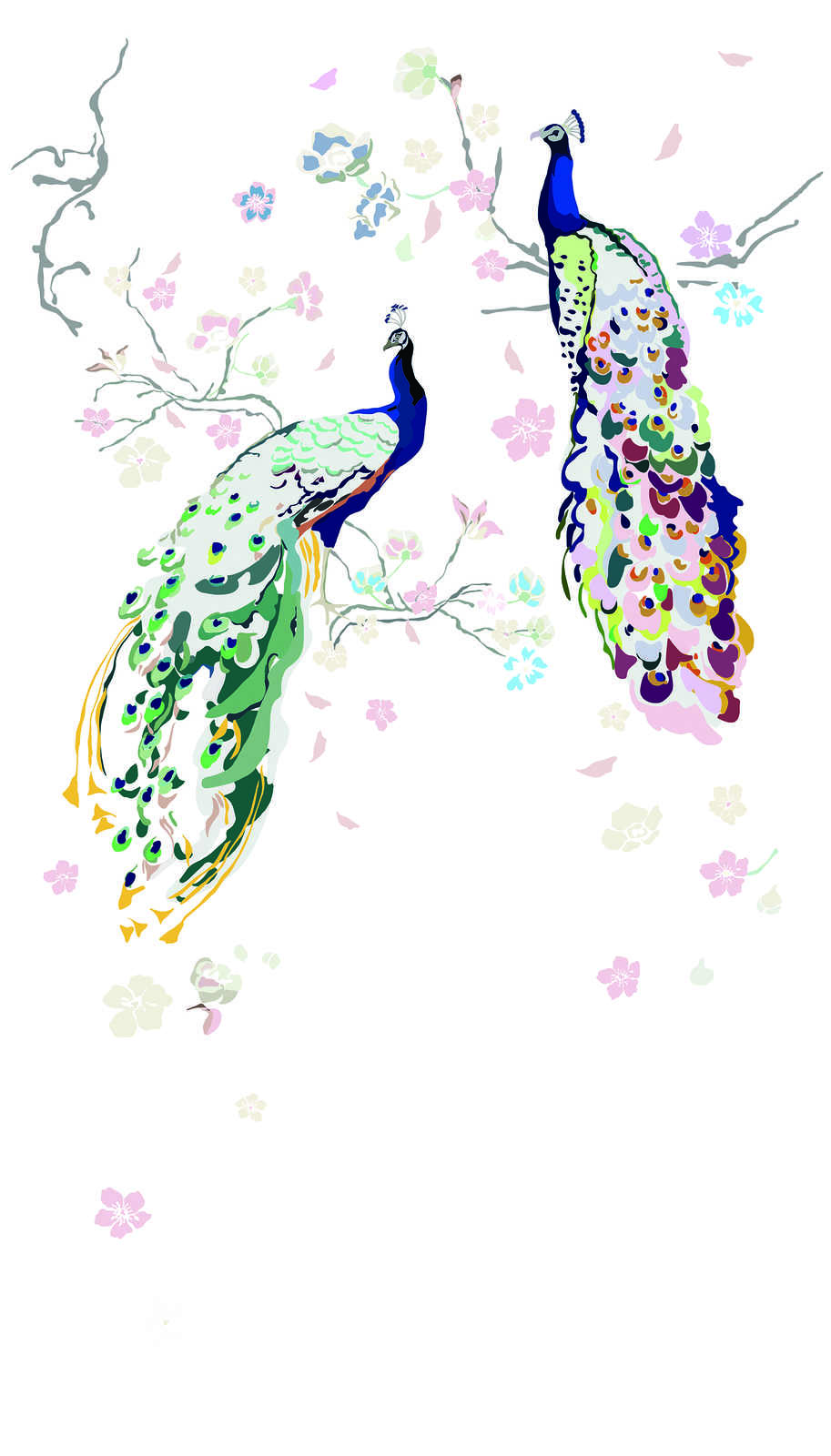             Vliestapete mit Pfau und Blumen – weiß, bunt, blau, grün, rosa
        