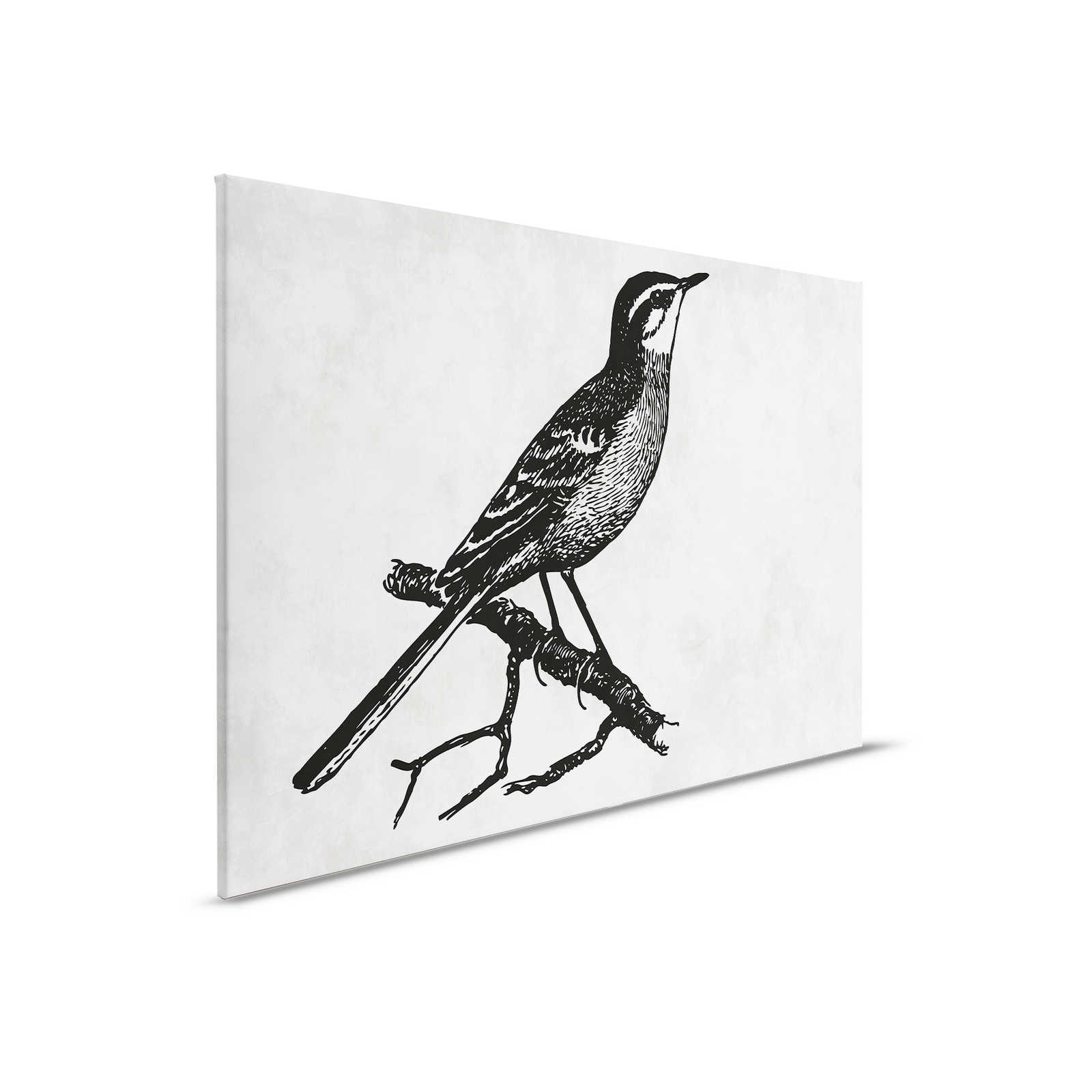             Vogel Leinwandbild im Zeichenlook mit Putzoptik – 0,90 m x 0,60 m
        