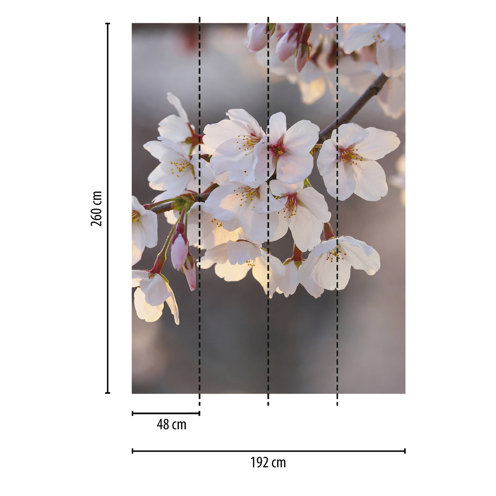             Schmale Fototapete Kirschblüte – Rosa, Weiß
        
