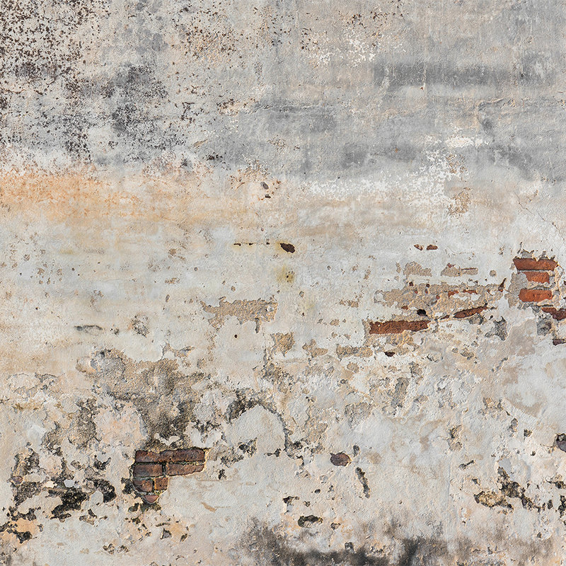         Fototapete alte & verputzte Ziegelsteinmauer – Grau, Braun
    