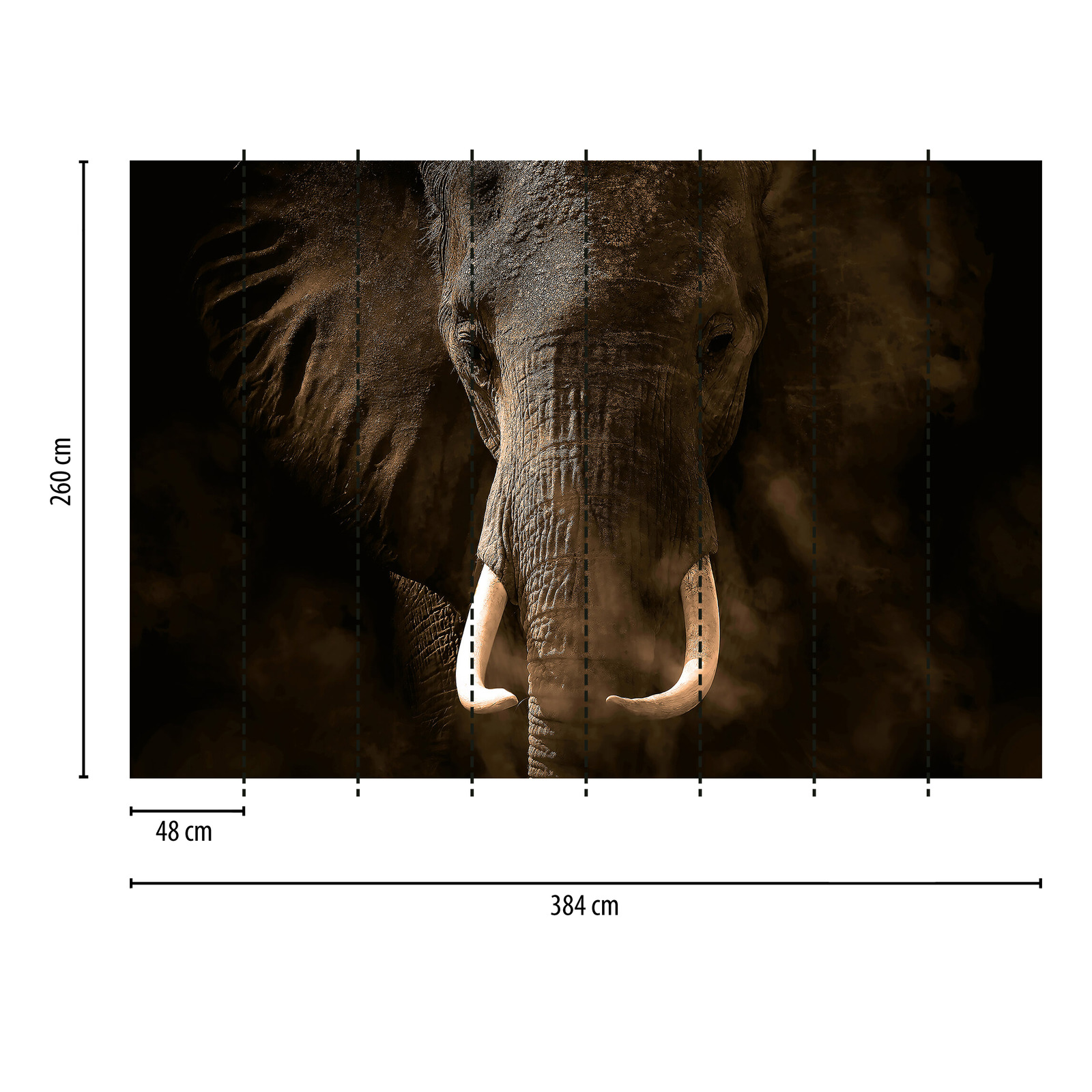             Fototapete Safari Tier Elefant – Grau, Braun, Weiß
        