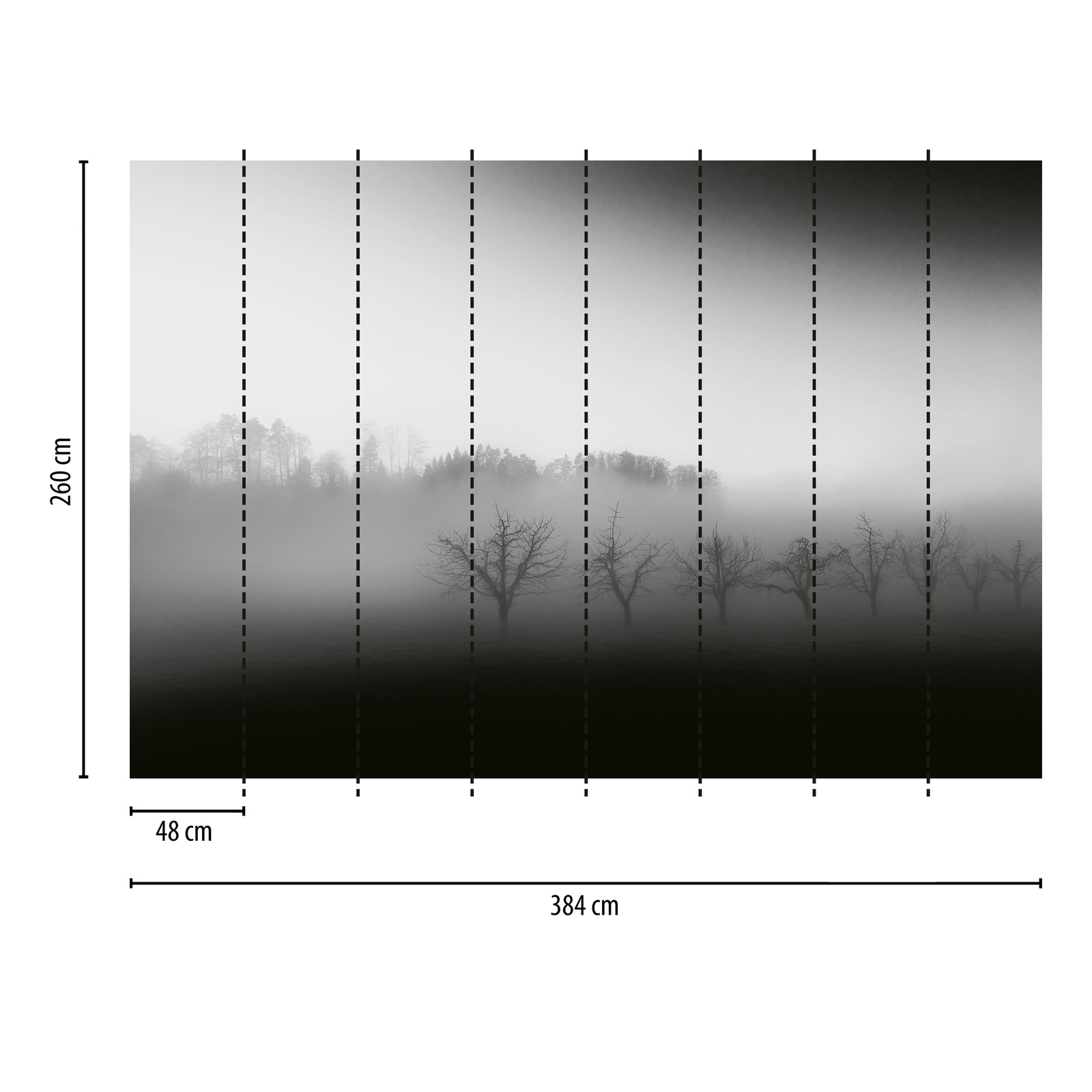             Fototapete Landschaft mit Nebel – Schwarz, Weiß, Grau
        