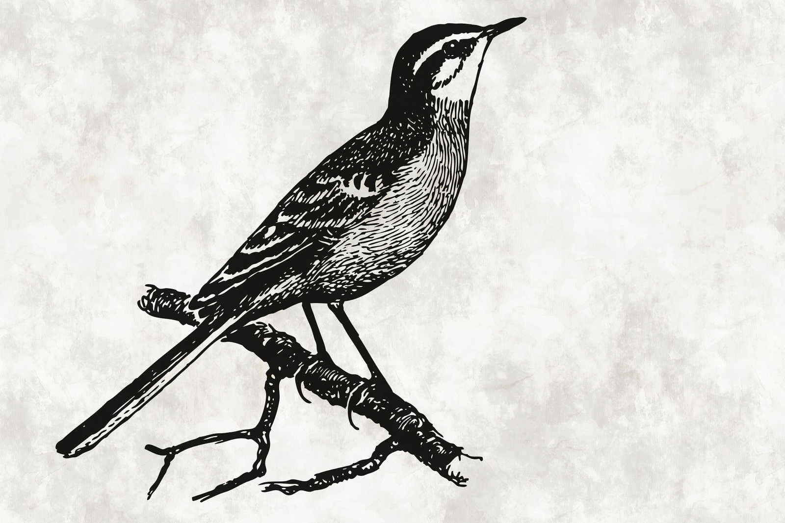             Vogel Leinwandbild im Zeichenlook mit Putzoptik – 0,90 m x 0,60 m
        