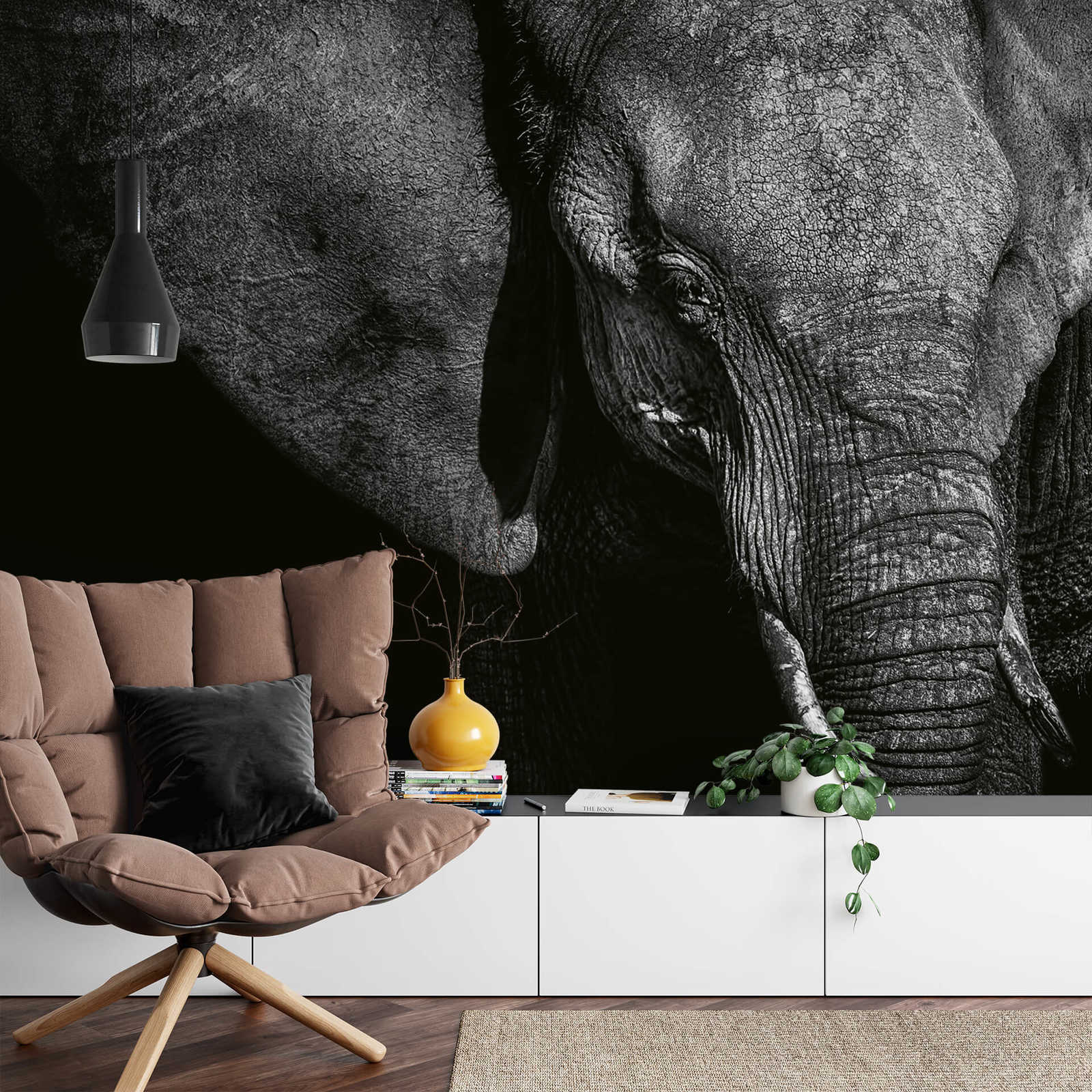             Fototapete Tier Elefant – Schwarz, Grau, Weiß
        