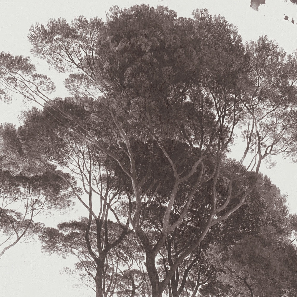             Historische Vliestapete mit Landschaftsmotiv – Schwarz, Weiß
        