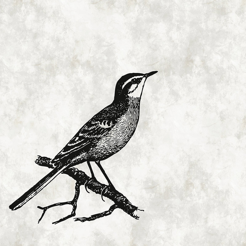 Vogel Fototapete im Zeichenlook mit Putzoptik – Weiß, Schwarz
