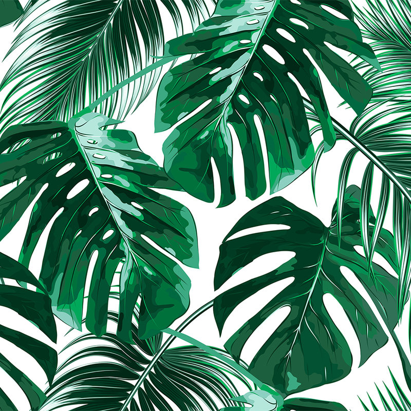 Palmenblätter Fototapete im Kunst Stil – Grün, Weiß
