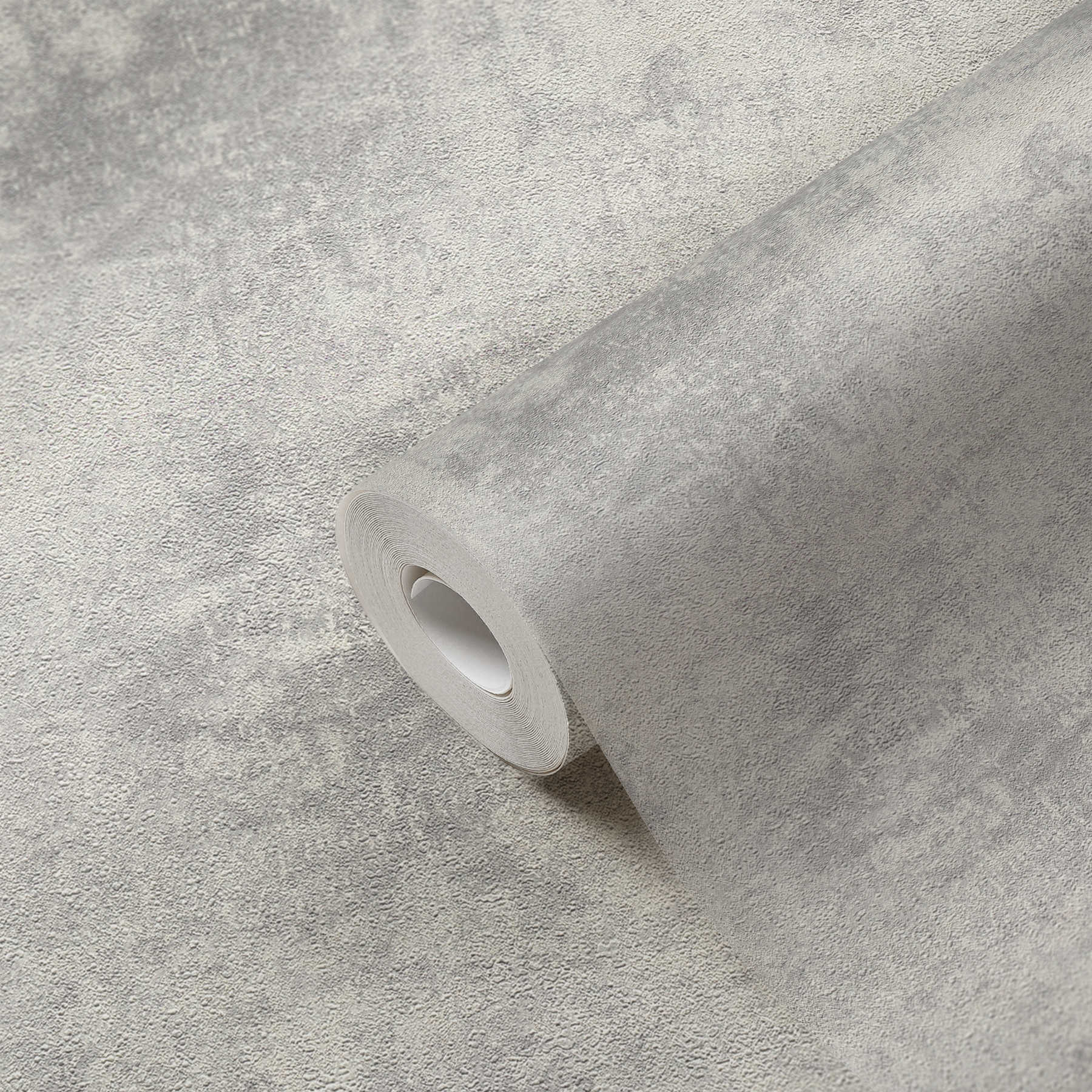             Vliestapeten mit Scheibenputz-Optik & Strukturmuster – Grau, Silber
        