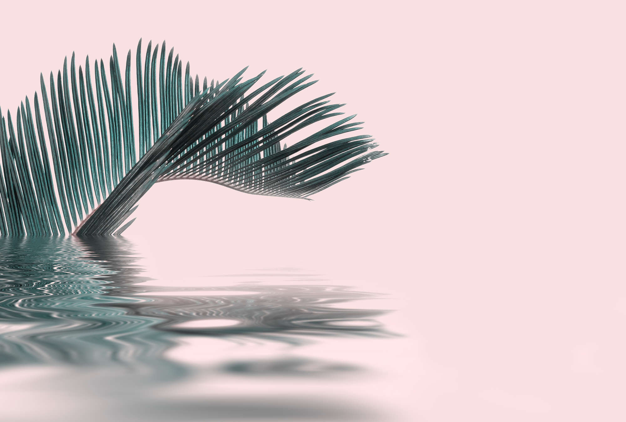             Fototapete Palmenblatt im Wasser – Grün & Rosa
        