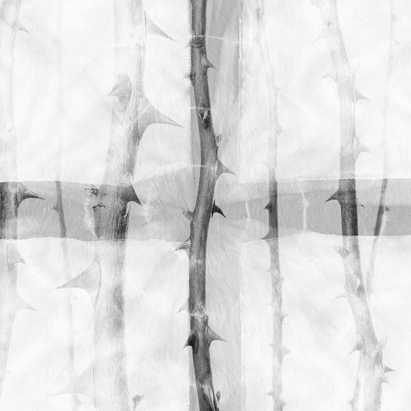 Graue Fototapete mit ausgefallenem Dornenmuster – Grau, Weiß

