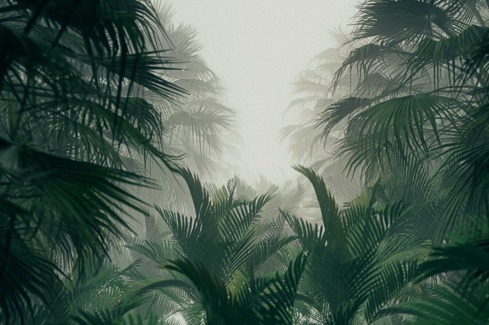             Leinwandbild mit Dschungelblick in der Regenzeit – 0,90 m x 0,60 m
        