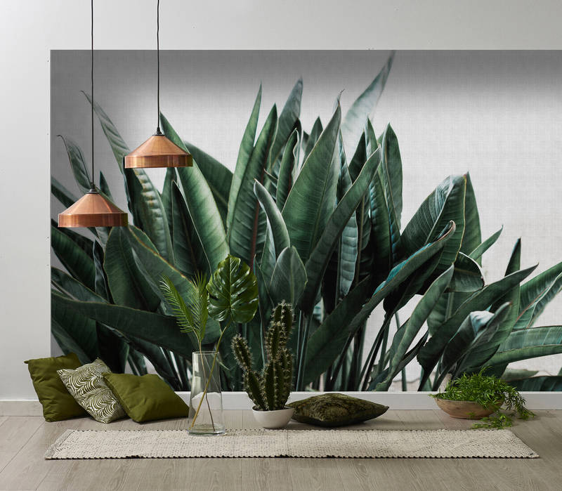             Urban jungle 2–Palmenblätter Fototapete, naturleinen Struktur exotische Pflanzen – Grau, Grün | Perlmutt Glattvlies
        