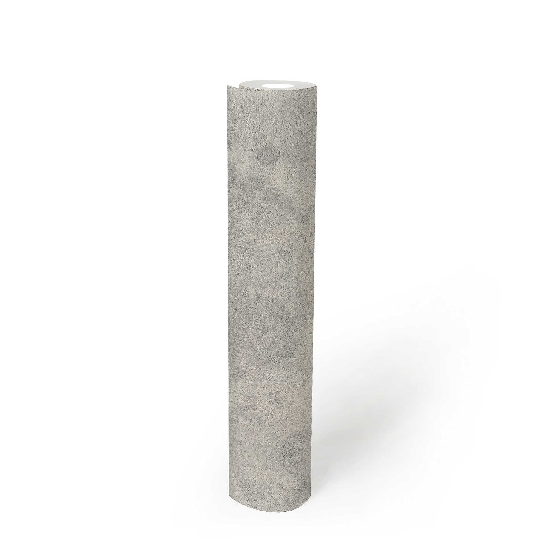             Vliestapeten mit Scheibenputz-Optik & Strukturmuster – Grau, Silber
        