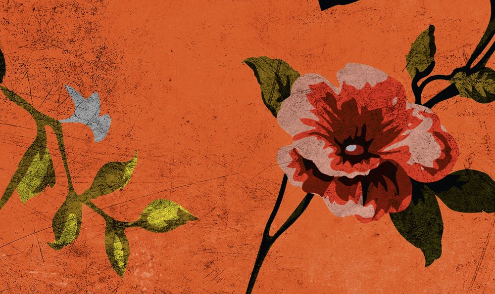            Wild roses 2 - Rosen Fototapete in kratzer Struktur im Retrolook, Orange – Gelb, Orange | Mattes Glattvlies
        