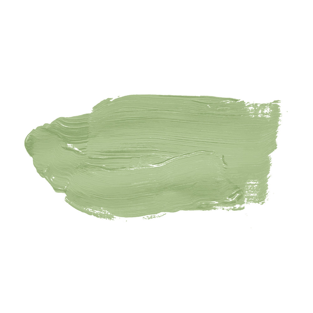             Wandfarbe in lebendigem Grün »Green Grape« TCK4008 – 5 Liter
        