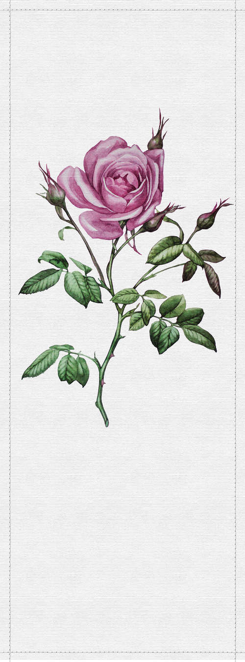             Spring panels 2 - Fotopaneel in gerippter Struktur mit Rose im Botanical Stil – Grau, Rosa | Perlmutt Glattvlies
        