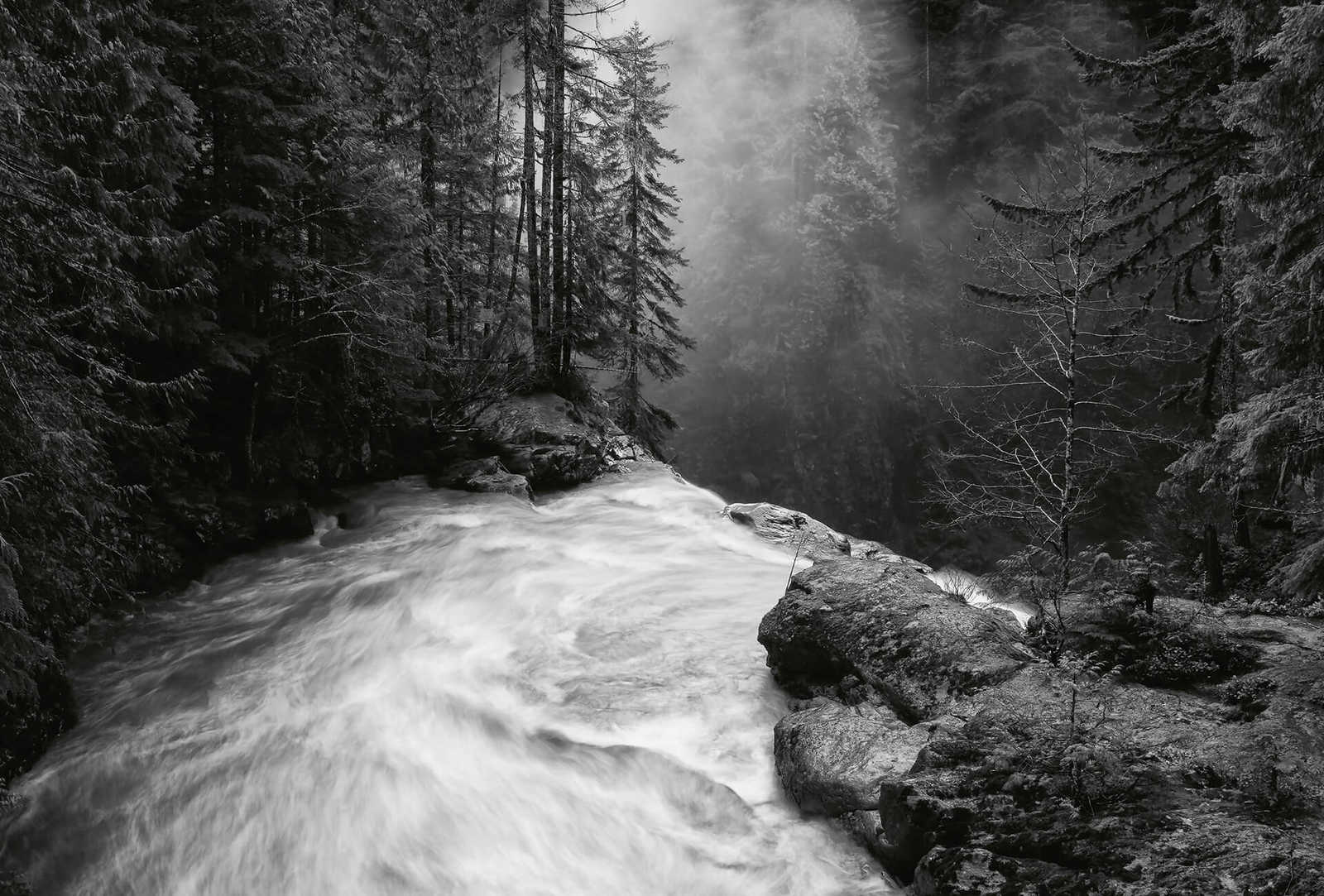         Fototapete Wald mit Wasserfall – Schwarz, Weiß, Grau
    