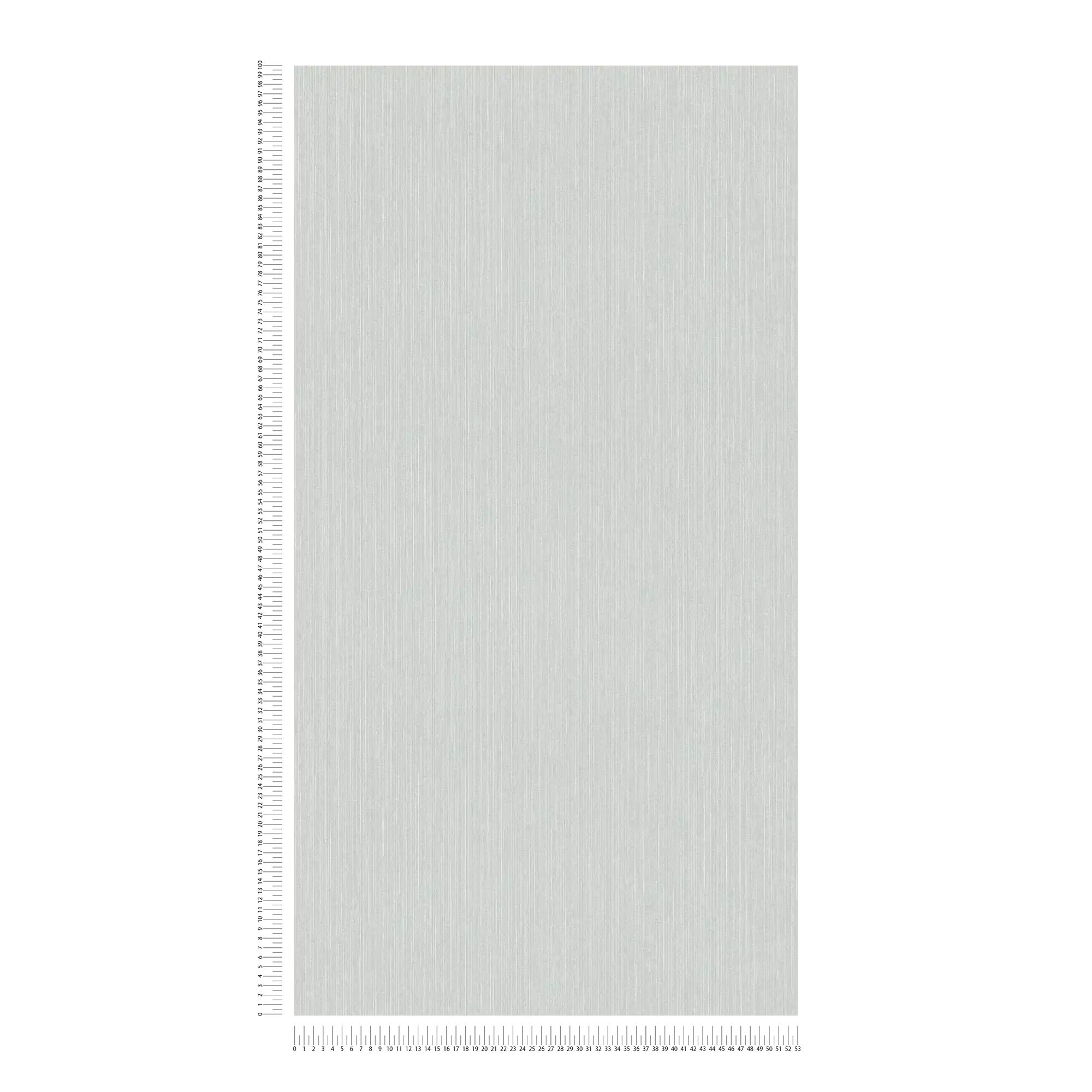             Linierte Tapete Silbergrau mit Glanzeffekt – Grau
        