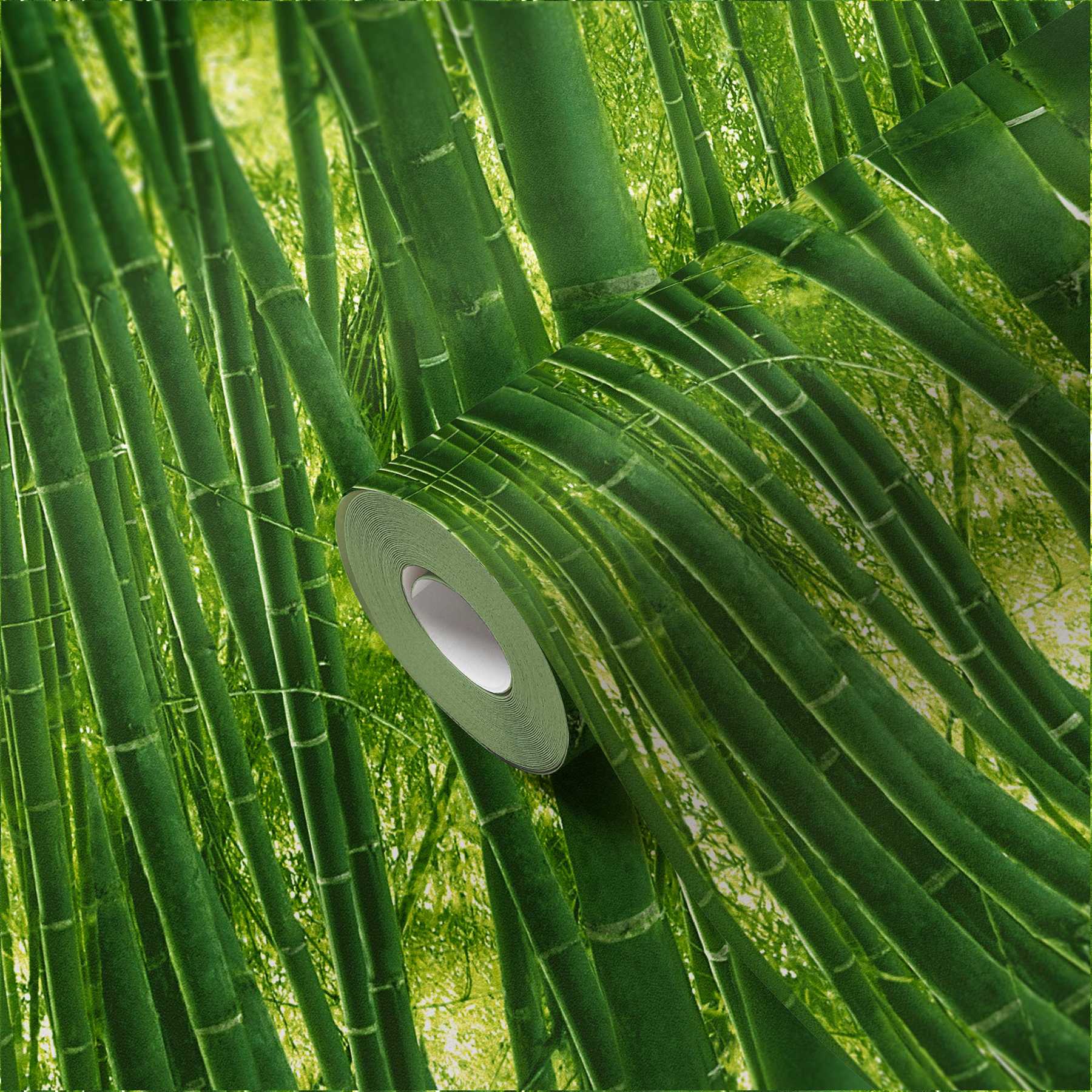             Bambus Tapete mit tropischem Waldmotiv – Grün
        