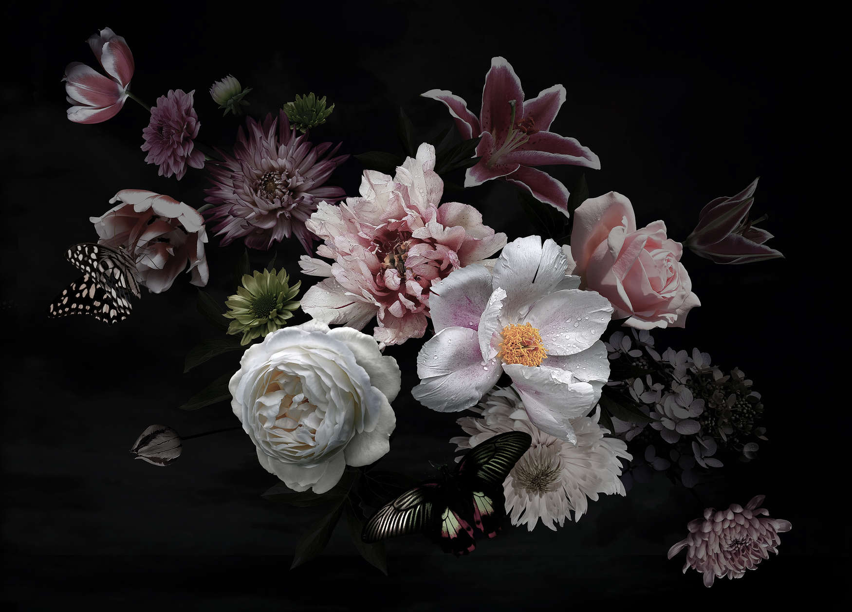             Fototapete verschiedene Blumen mit Schmetterling – Schwarz, Rosa, Weiß
        
