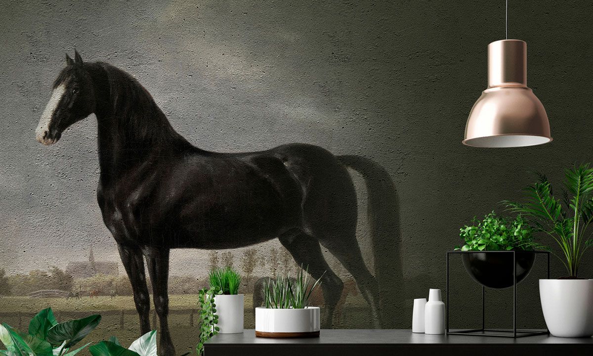 Wohnzimmer Tapete schwarzes Pferd im Portrait Stil DD110666